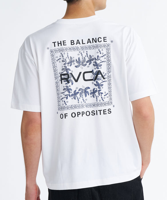 RVCA メンズ EXOTIC BOX TEE Tシャツ 【2026年夏モデル】 ANW / XL
