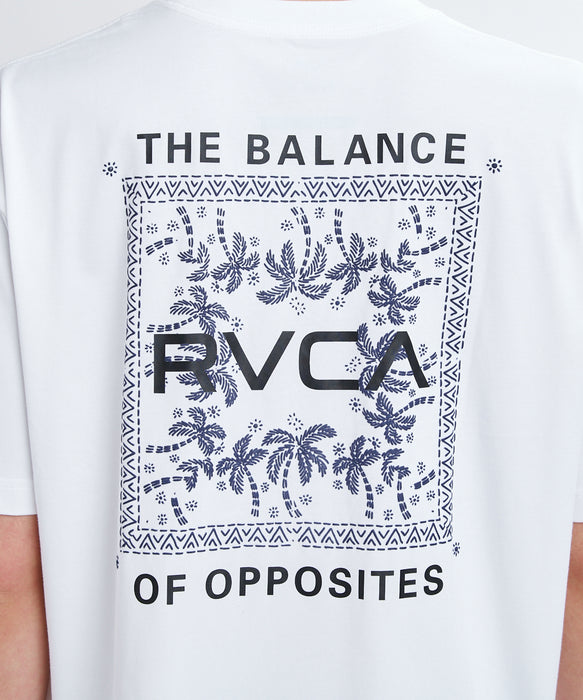 RVCA メンズ EXOTIC BOX TEE Tシャツ 【2026年夏モデル】 ANW / XL