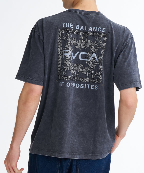 RVCA メンズ EXOTIC BOX TEE Tシャツ 【2026年夏モデル】 KVCB / XL