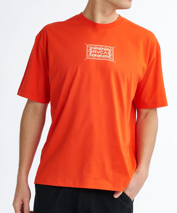 日本未入荷　RVCA Tシャツ RVCA ルーカ 長袖 Tシャツ メンズ バックプリント ボックスロゴ