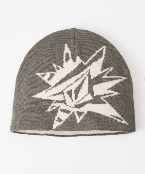 VOLCOM メンズ PASSION BEANIE ビーニー 【2026年秋冬モデル】