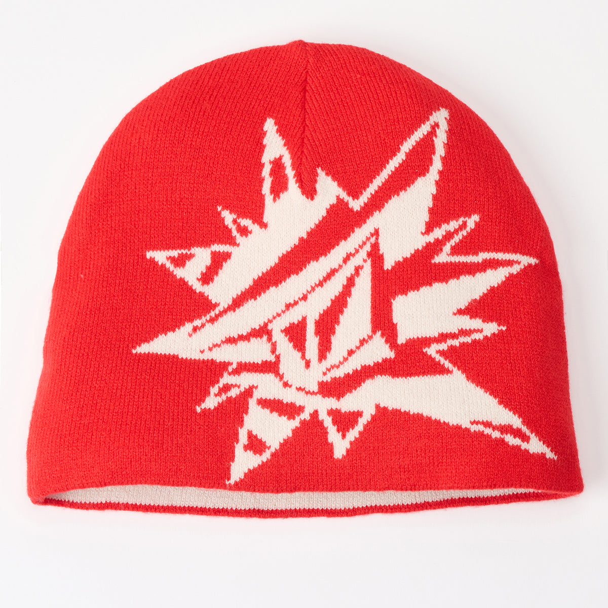 VOLCOM メンズ PASSION BEANIE ビーニー 【2026年秋冬モデル】