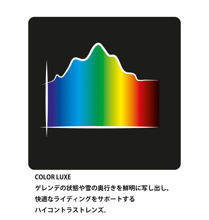 Roxy MOONRIDE AF スノーゴーグル