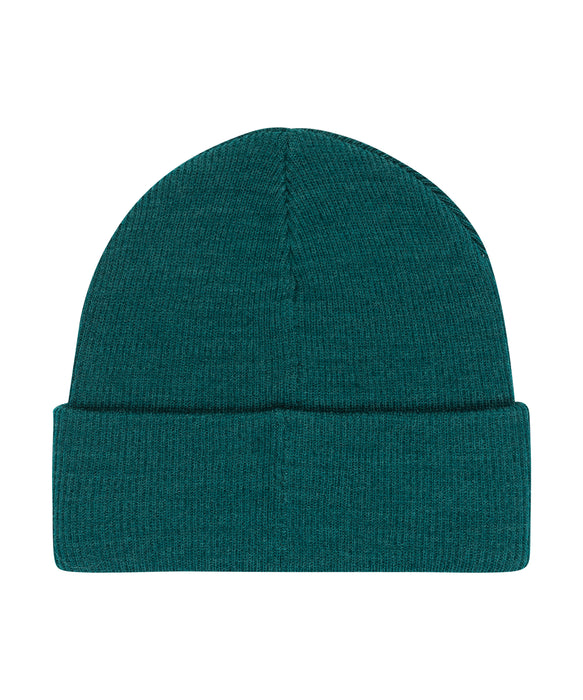 DC SHOES メンズ LABEL BEANIE ビーニー 【25-26SNOWモデル】 BTG0 / F