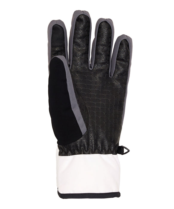 DC SHOES メンズ FRANCHISE GLOVE スノーグローブ 【25-26SNOWモデル】 WBB0 / L