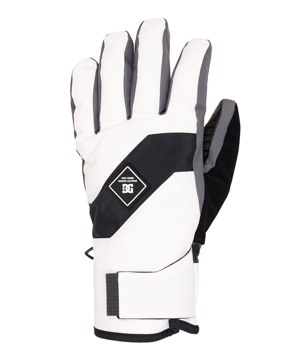 DC SHOES メンズ FRANCHISE GLOVE スノーグローブ 【25-26SNOWモデル】 WBB0 / L