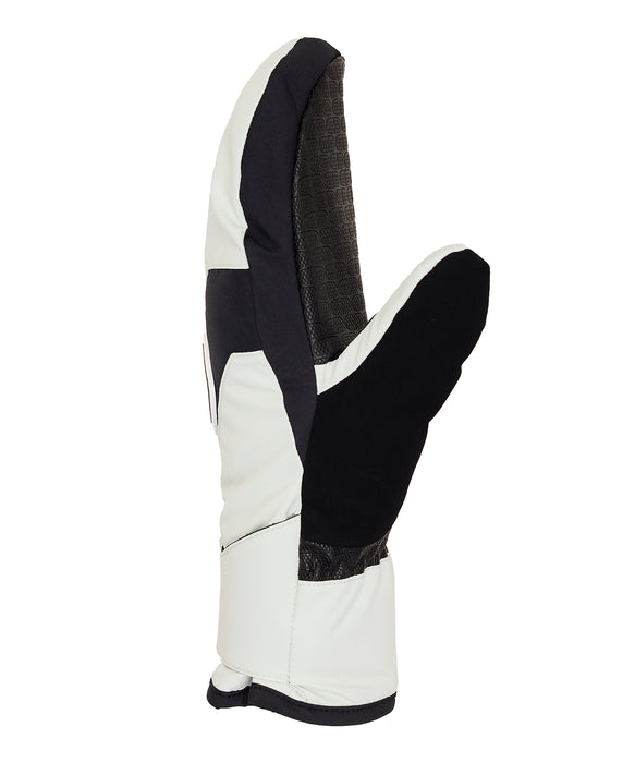 DC SHOES ウィメンズ FRANCHISE WMNS MITTEN スノーグローブ 【25-26SNOWモデル】 GCP0 / M