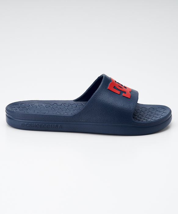 サンタクルーズ 152㎝ WALL HAND DC &DEELUXE サンタクルーズ SANTA