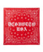 DC SHOES メンズ 26 PAISLEY BANDANA その他アクセサリー 【2026年秋冬モデル】 RED / F
