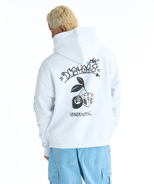 SALE】DC SHOES メンズ 26 GAME PH パーカー フーディ【2026年春夏モデル】