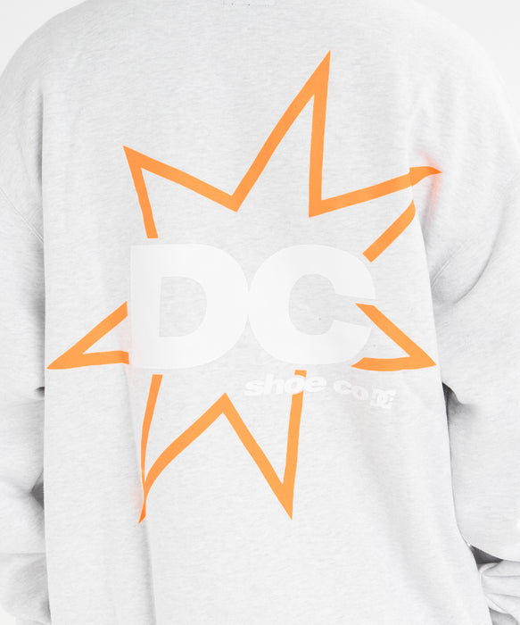 【直営店限定】DC SHOES メンズ 26 BACKLOGO PH パーカー【2026年秋冬モデル】