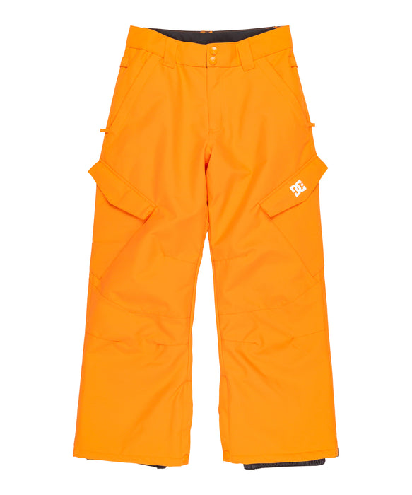 DC SHOES キッズ BANSHEE YOUTH PANT スノーパンツ 【25-26SNOWモデル】 NLS0 / 160