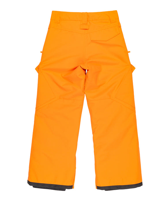 DC SHOES キッズ BANSHEE YOUTH PANT スノーパンツ 【25-26SNOWモデル】 NLS0 / 160