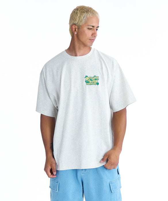 DC SHOES メンズ 26 SK CREW SS Tシャツ 【2026年春夏モデル】 GRY / XL