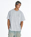 DC Shoes メンズ 26 HIDDEN BACKLOGO SS Tシャツ 【2026年夏モデル】 GRS / XL