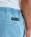 DC SHOES メンズ 26 WIDE CARGO SHORT ショートパンツ 【2026年春夏モデル】 LBL / XL