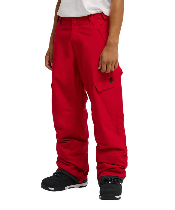 DC Shoes BANSHEE PANT RRD0 / L
