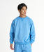 REEF メンズ VINTAGE WASH CREW トレーナー 【2026年秋冬モデル】 LBLU / XL