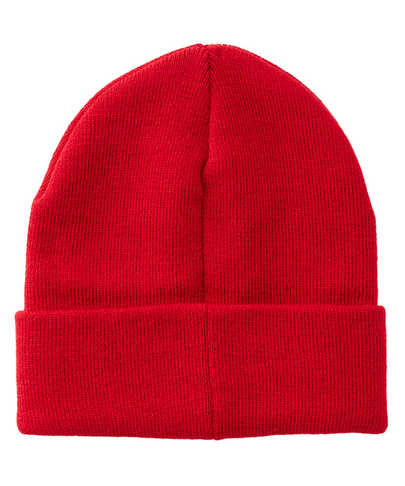 QUIKSILVER キッズ BRIGADE YOUTH BEANIE ビーニー 【25-26SNOWモデル】 RZM0 / F