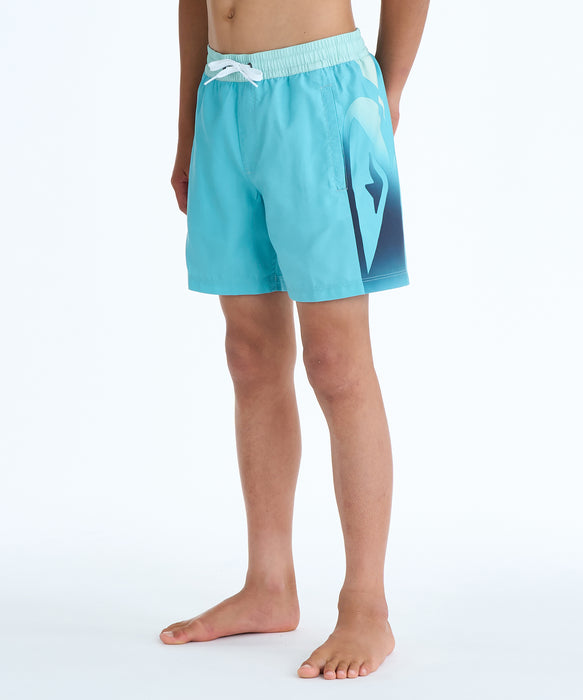 QUIKSILVER キッズ EVERYDAY HOLMES VOLL ボードショーツ 【2026年春夏モデル】 BJK6 / 160