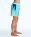 QUIKSILVER キッズ EVERYDAY HOLMES VOLL ボードショーツ 【2026年春夏モデル】 BJK6 / 160