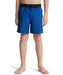 QUIKSILVER キッズ EVERYDAY HOLMES VOLL ボードショーツ 【2026年春夏モデル】 BYC6 / 160