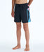 QUIKSILVER キッズ EVERYDAY HOLMES VOLL ボードショーツ 【2026年春夏モデル】 KVJ6 / 160