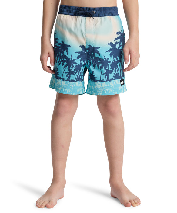 QUIKSILVER キッズ EVERYDAY PRINTED VOL ボードショーツ 【2026年春夏モデル】 BJK8 / 160