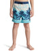 QUIKSILVER キッズ EVERYDAY PRINTED VOL ボードショーツ 【2026年春夏モデル】 BJK8 / 160