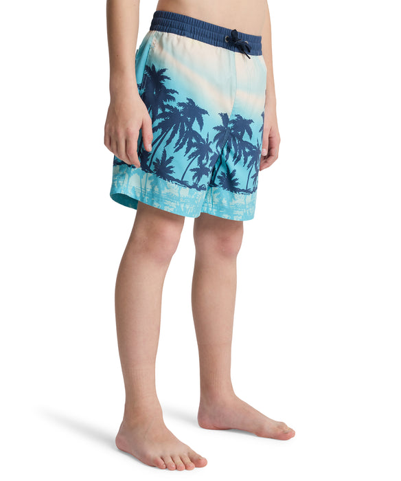QUIKSILVER キッズ EVERYDAY PRINTED VOL ボードショーツ 【2026年春夏モデル】 BJK8 / 160
