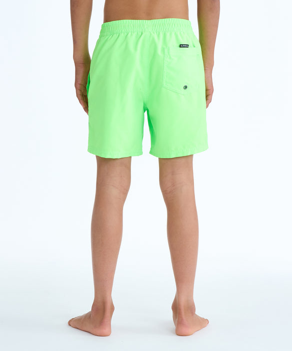 QUIKSILVER キッズ EVERYDAY VOLLEY YTH  ボードショーツ 【2026年春夏モデル】 GGY0 / 160