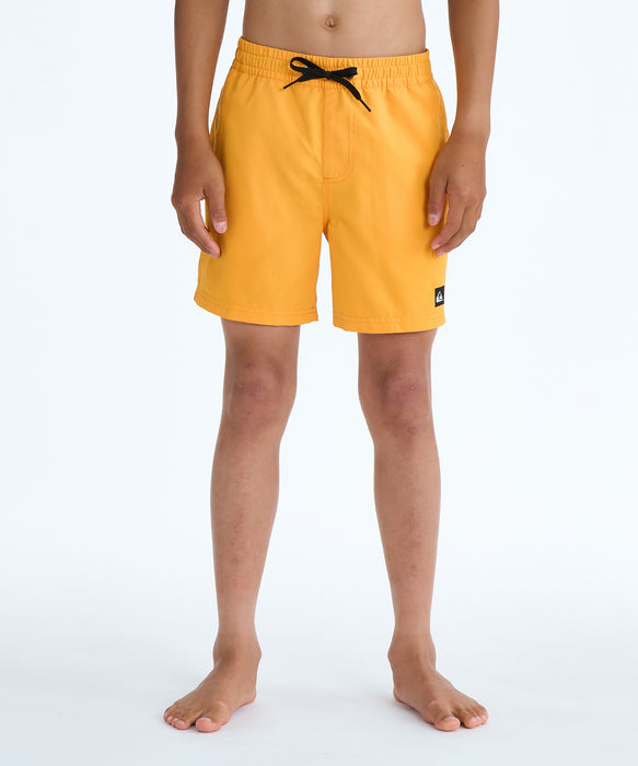 QUIKSILVER キッズ EVERYDAY VOLLEY YTH  ボードショーツ 【2026年春夏モデル】 NJZ0 / 160
