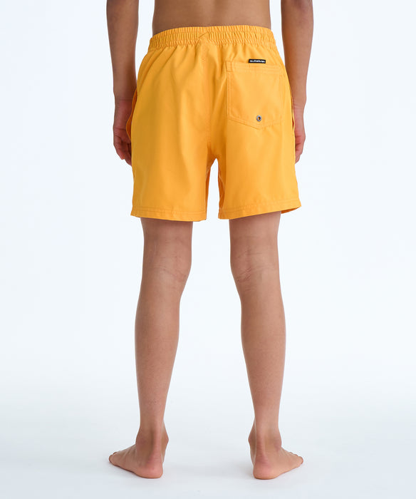 QUIKSILVER キッズ EVERYDAY VOLLEY YTH  ボードショーツ 【2026年春夏モデル】 NJZ0 / 160