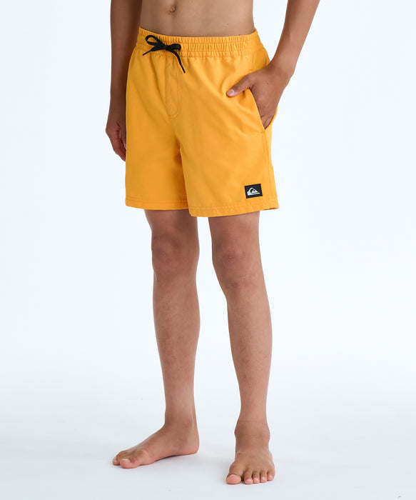 QUIKSILVER キッズ EVERYDAY VOLLEY YTH  ボードショーツ 【2026年春夏モデル】 NJZ0 / 160