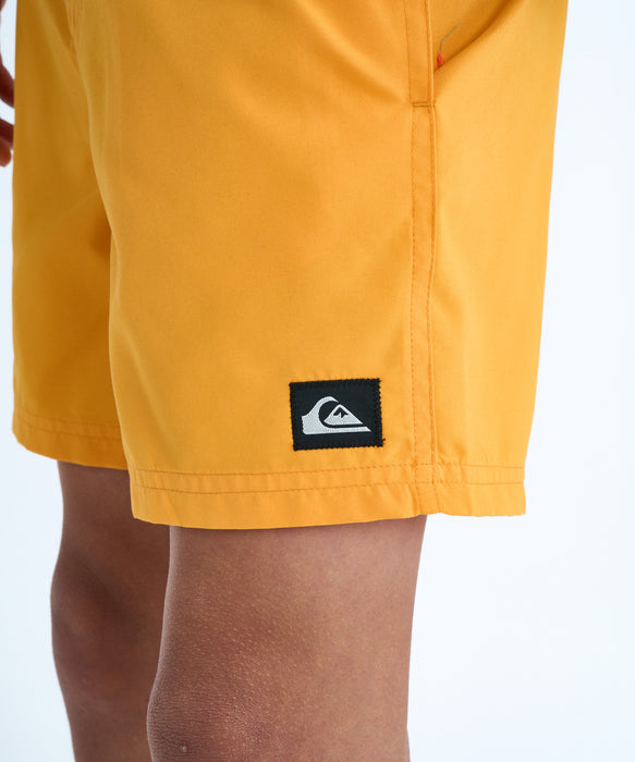 QUIKSILVER キッズ EVERYDAY VOLLEY YTH  ボードショーツ 【2026年春夏モデル】 NJZ0 / 160