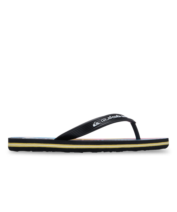 QUIKSILVER キッズ MOLOKAI ART 26 YOUTH ビーチサンダル 【2026年春夏モデル】 XKKM / 22CM