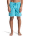QUIKSILVER メンズ EVERYDAY SURFWASH VO ボードショーツ 【2026年春夏モデル】 BJK0 / XL