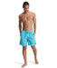 QUIKSILVER メンズ EVERYDAY SURFWASH VO ボードショーツ 【2026年春夏モデル】 BJK0 / XL
