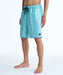 QUIKSILVER メンズ EVERYDAY PRINTED VOL ボードショーツ 【2026年春夏モデル】 BJK7 / XL