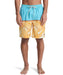 QUIKSILVER メンズ EVERYDAY POOLSIDER 1 ボードショーツ 【2026年春夏モデル】 BJK6 / XL