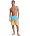QUIKSILVER メンズ EVERYDAY POOLSIDER 1 ボードショーツ 【2026年春夏モデル】 BJK6 / XL