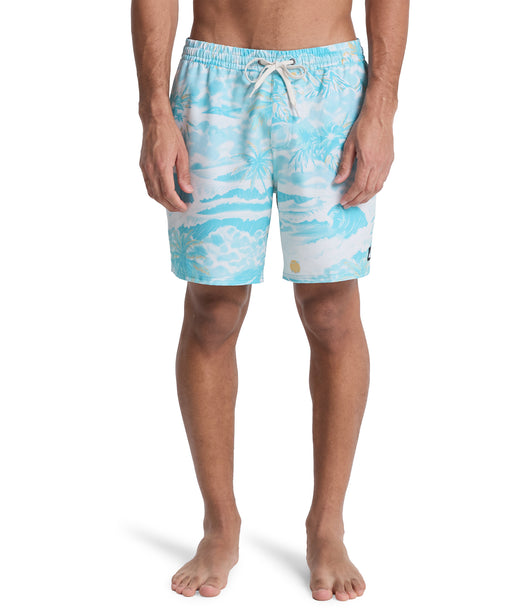 QUIKSILVER メンズ STRETCH PRINTED VOLL ボードショーツ 【2026年春夏モデル】 BJK6 / XL
