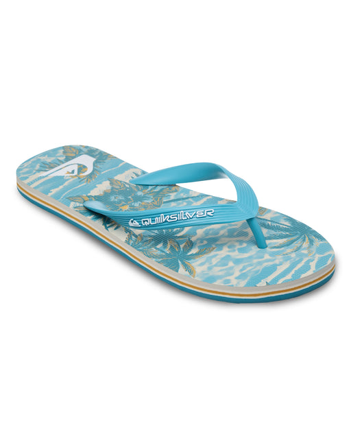 QUIKSILVER メンズ MOLOKAI ART 26 ビーチサンダル 【2026年春夏モデル】 BKJ6 / 28CM