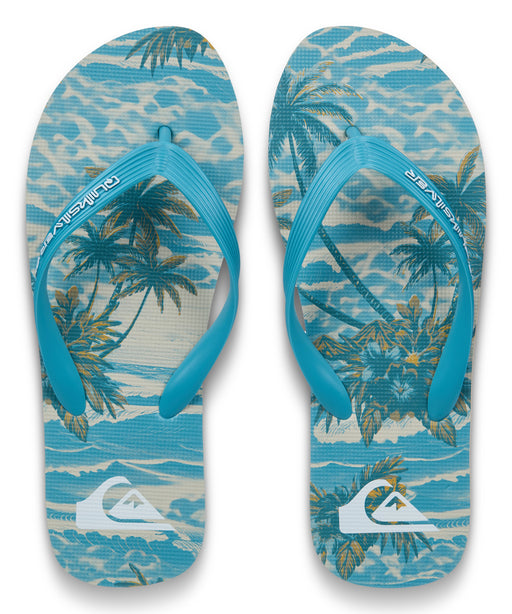 新品未使用Quiksilver シングルフィン６インチ　フラワーデザイン QUIKSILVER メンズ MOLOKAI ART 26 ビーチサンダル 【2026年春夏モデル】
