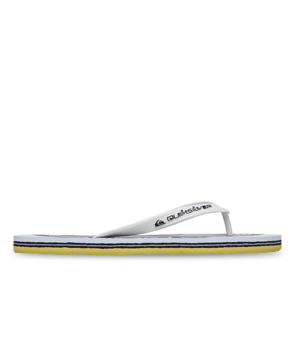 QUIKSILVER メンズ MOLOKAI SCREEN ビーチサンダル 【2026年春夏モデル】 WHT / 28CM