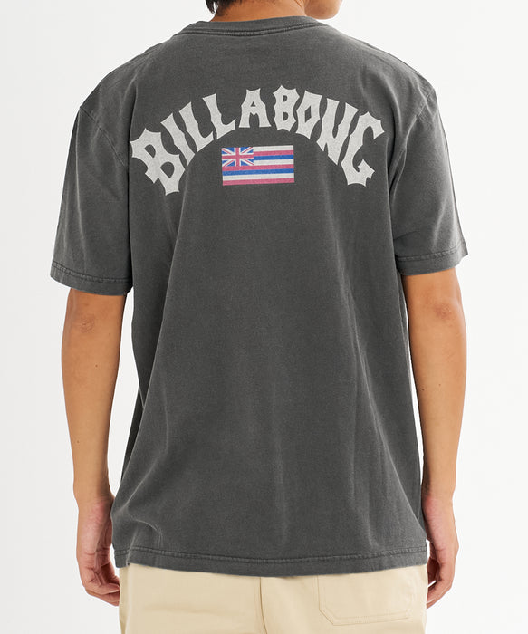 【直営店限定】BILLABONG メンズ ARCH FLAG HI SS HAWAII Tシャツ 【2026年秋冬モデル】