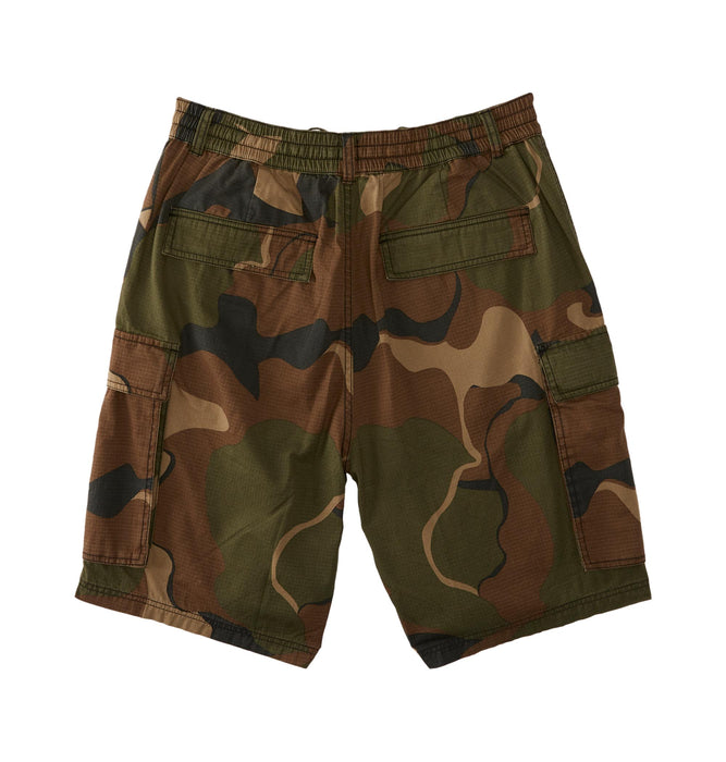 【オンラインストア限定】DC Shoes TUNDRA CARGO SHORT ショートパンツ メンズ