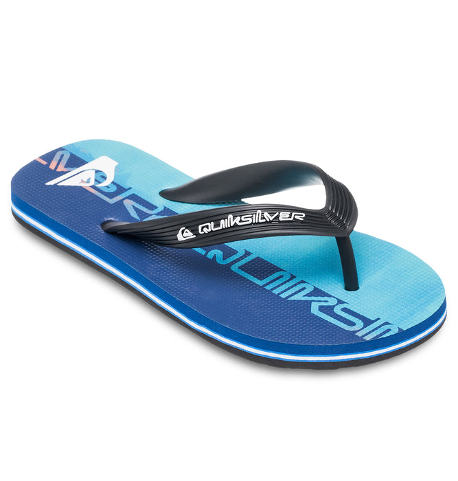 Quiksilver MOLOKAI ART 25 YOUTH キッズ サンダル