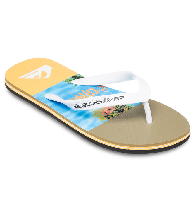 Quiksilver MOLOKAI STRIPE 25 メンズ サンダル
