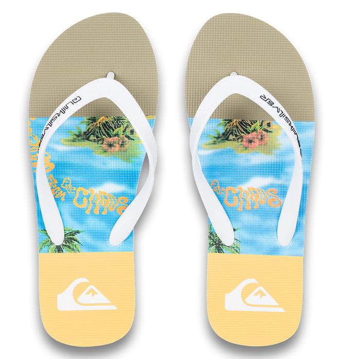 Quiksilver MOLOKAI STRIPE 25 メンズ サンダル